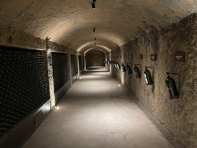 Domecq Winery photo 1