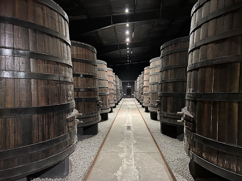 Domecq Winery photo 2