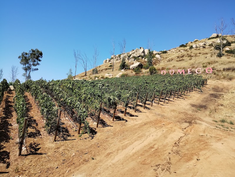 Domecq Winery photo 3