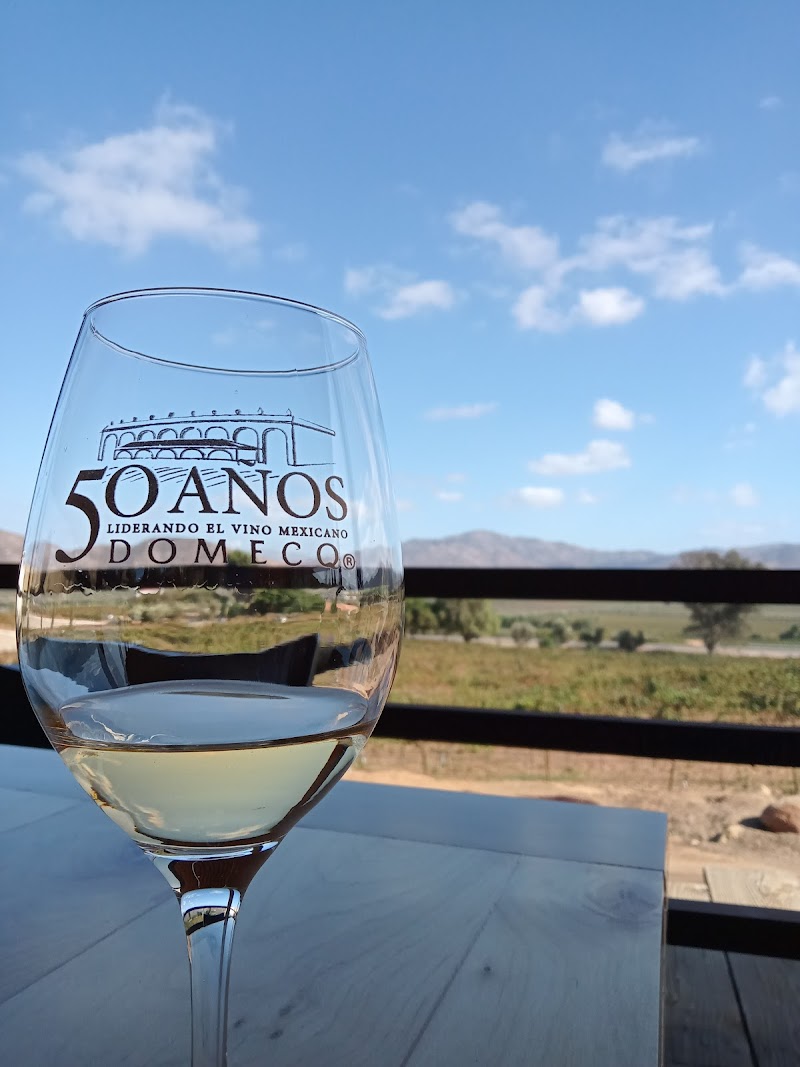 Domecq Winery photo 4