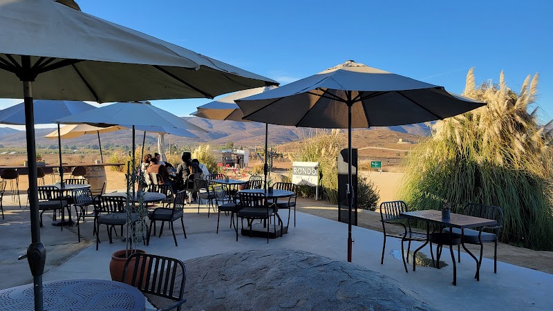 King and Queen Cantina Valle de Guadalupe photo 1