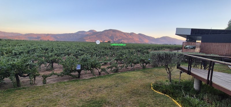 La Esperanza BajaMed photo 2