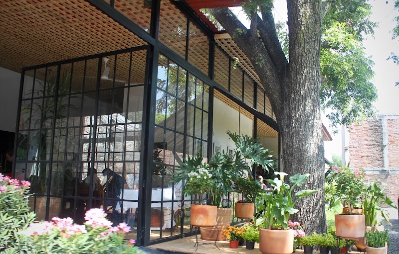 Mi Bistro 300 photo 3