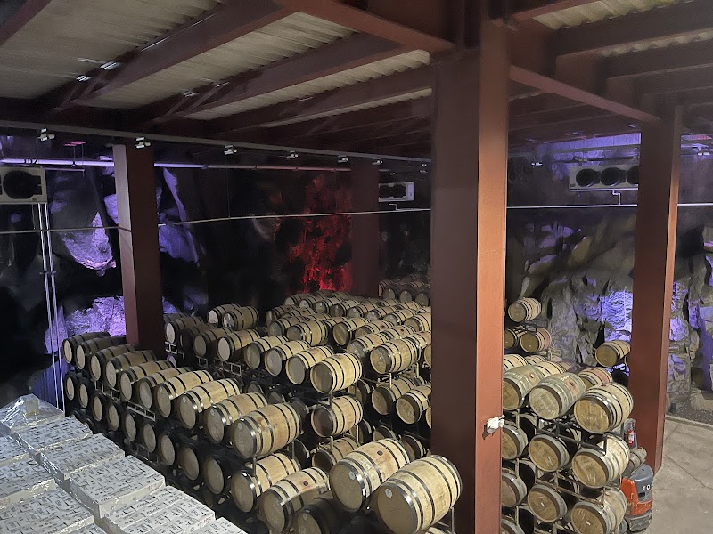 Monte Xanic Bodega Vinícola photo 4