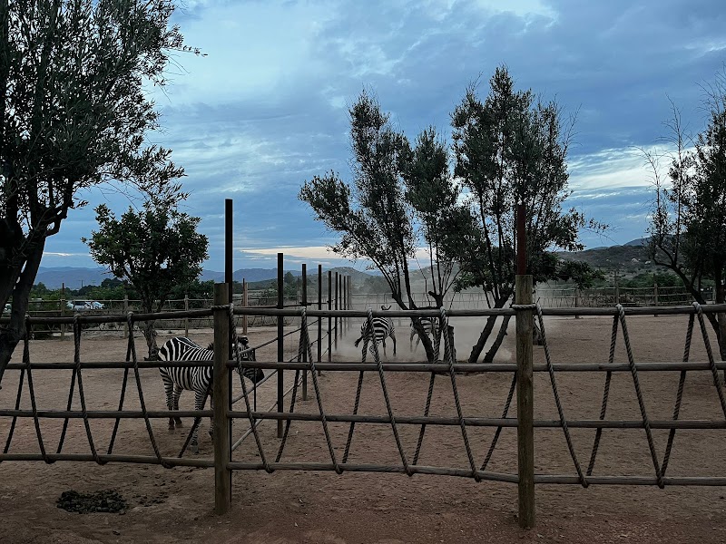 Ojá Valle photo 4