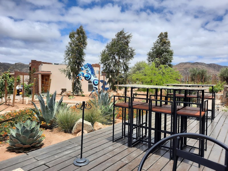 OJO AZUL, WINERY photo 1