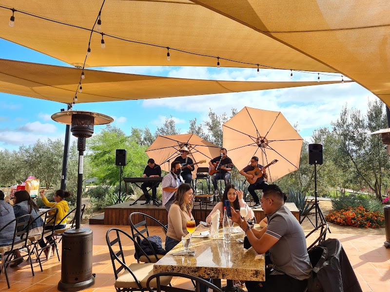 OJO AZUL, WINERY photo 2