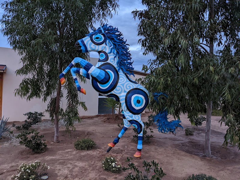 OJO AZUL, WINERY photo 3