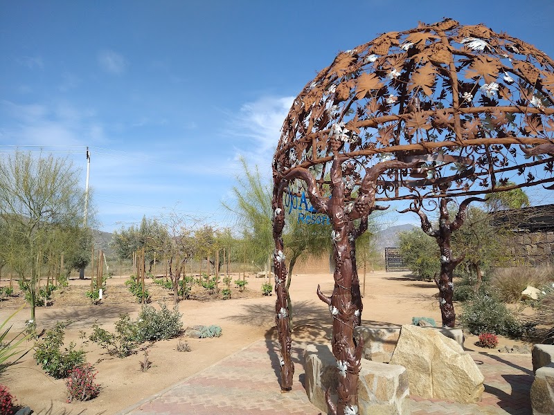 OJO AZUL, WINERY photo 4