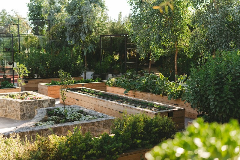 Olivea Farm to Table photo 2