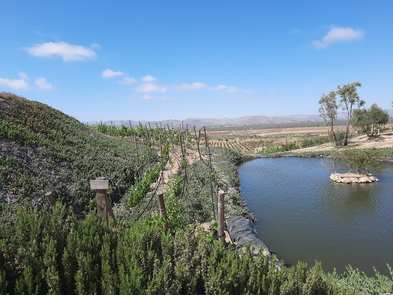 Once Pueblos photo 4