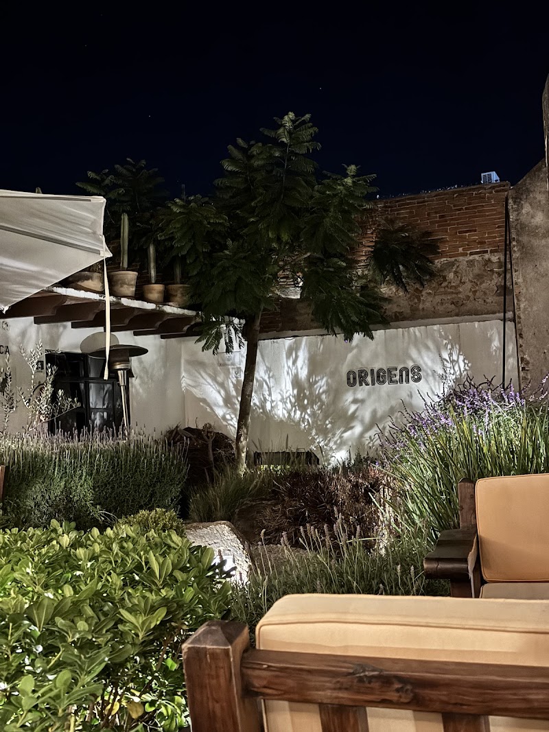 ORIGENS - Cocina Mediterranea photo 3