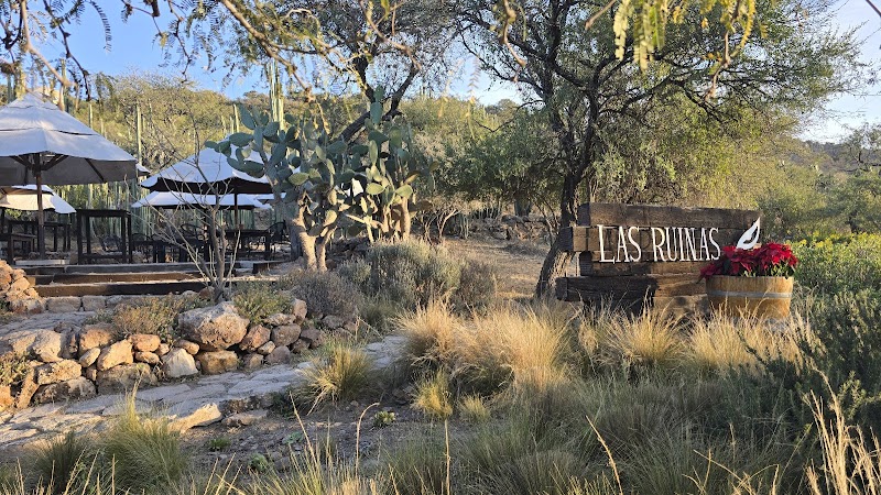 Puerta Del Lobo - Restaurante Ruinas photo 4