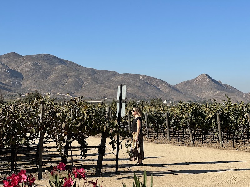 Restaurante Latitud 32, Valle de Guadalupe photo 2