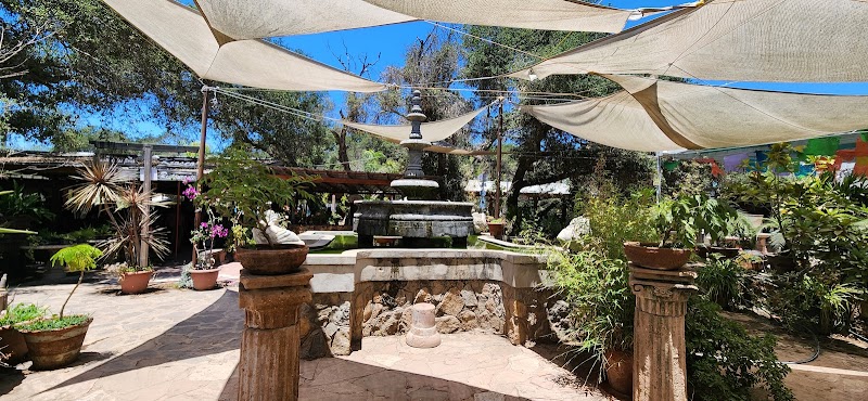 Restaurante y Vivero la Hacienda photo 2