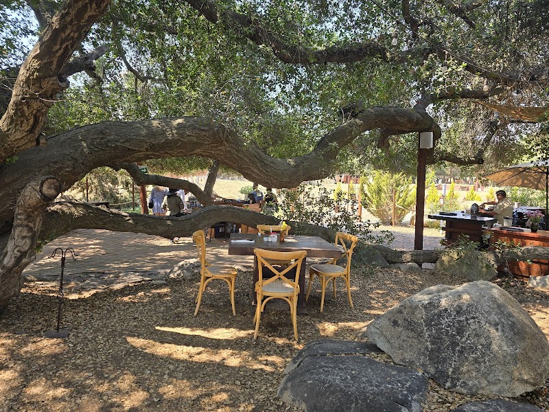 Robleza Cocina de Campo photo 3