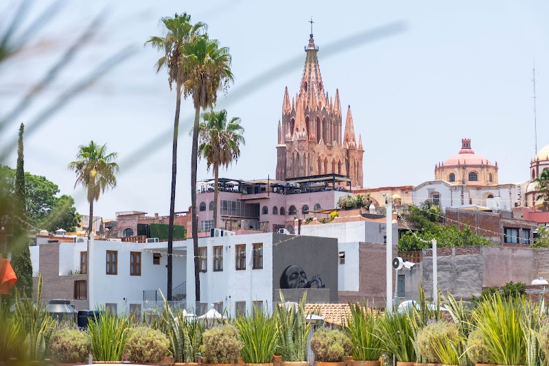 Tené Kitchen & Bar – Restaurante, sushi y terraza en San Miguel de Allende photo 4