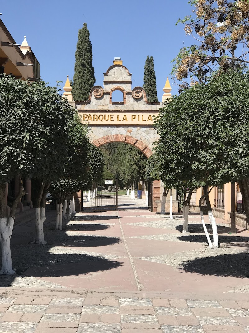 Tequis photo 2
