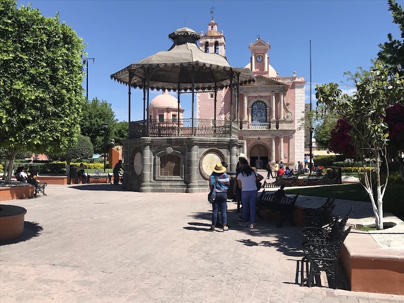 Tequis photo 3