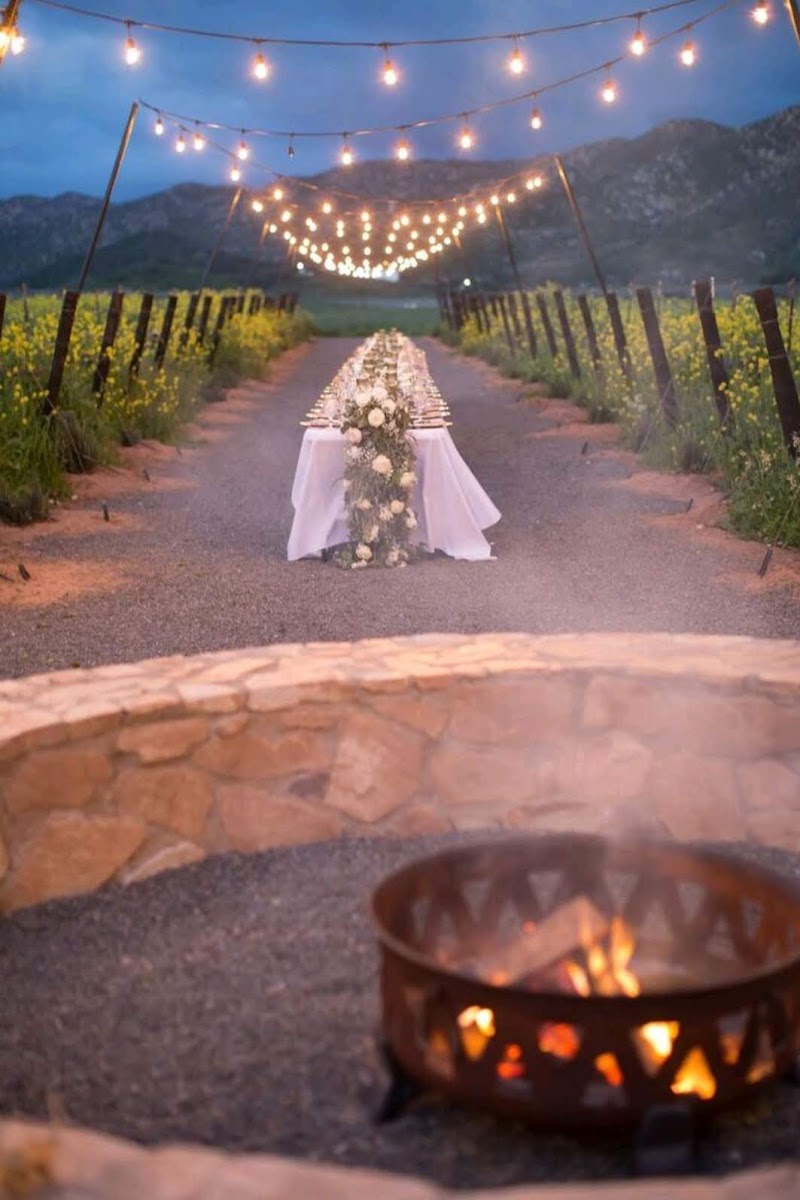 TREVISTA Vineyards photo 4