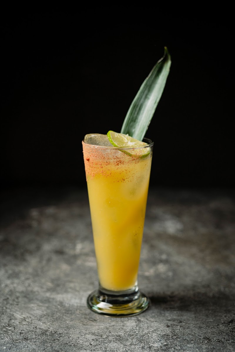 Vika Gastrobar photo 4