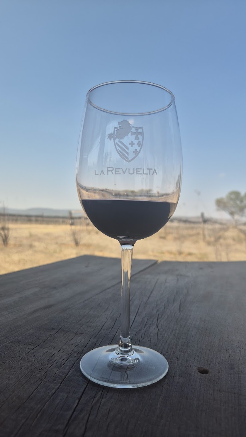 Viñedo La Revuelta - Restaurante Gran Reserva photo 4