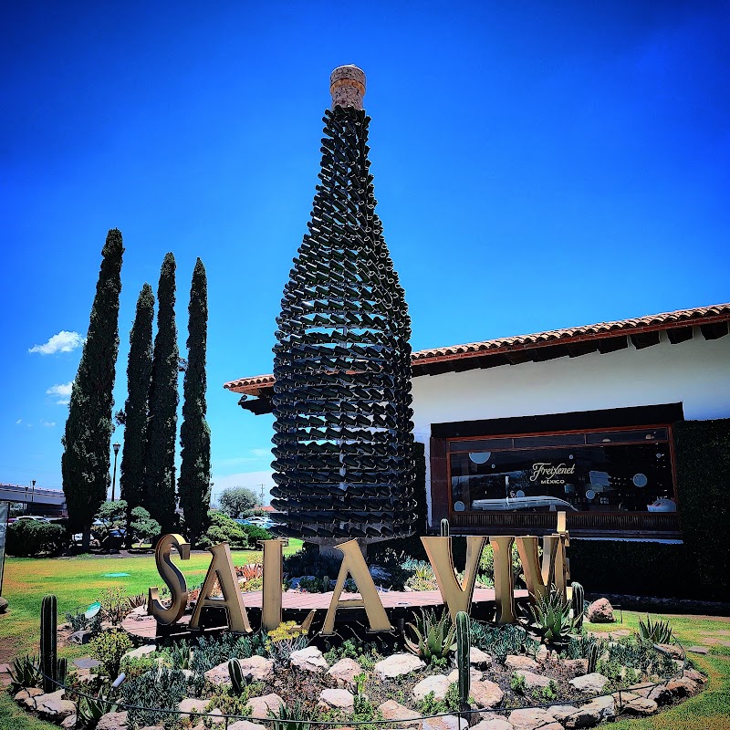 Viñedo Sala Vivé photo 2