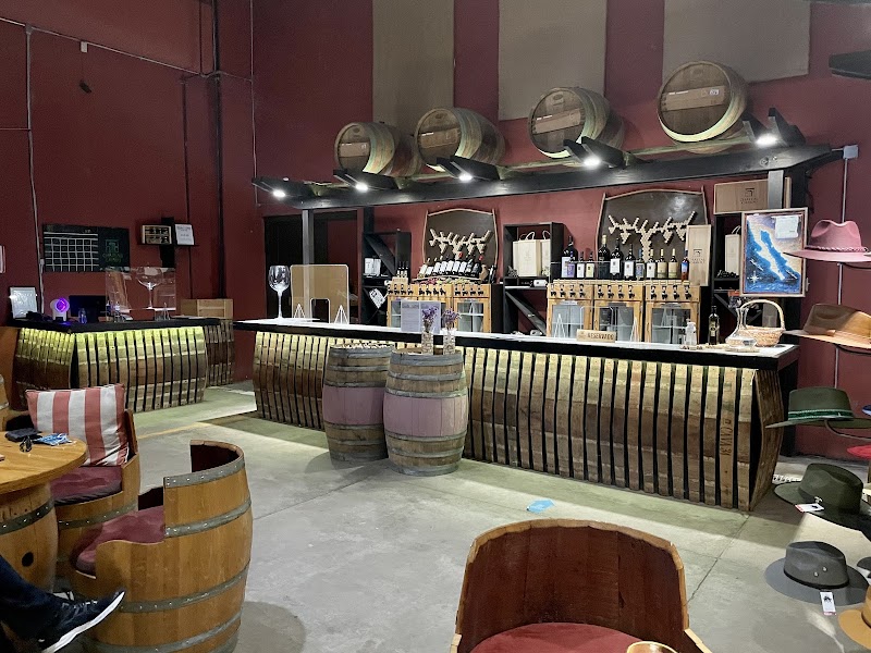 Vinícola Château Camou | Grandes Vinos Mexicanos Viñedo photo 2