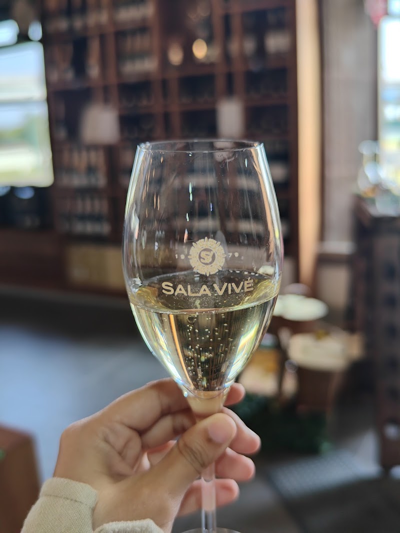 VINO TOURS photo 2