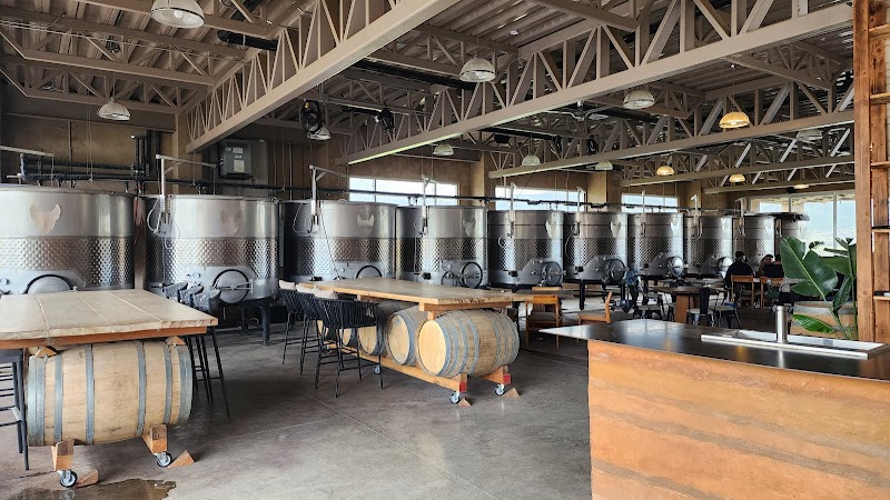 Xolo Wine photo 4